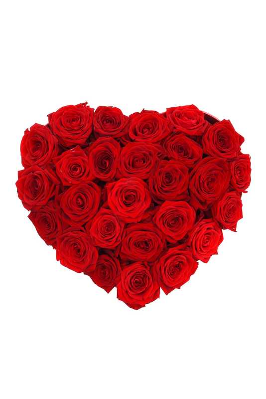 Descubra 48 kuva fleur rouge et rose - Thptnganamst.edu.vn