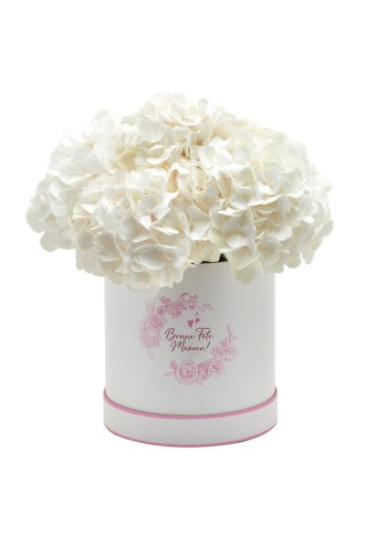 Boîte à Hortensia Blanc