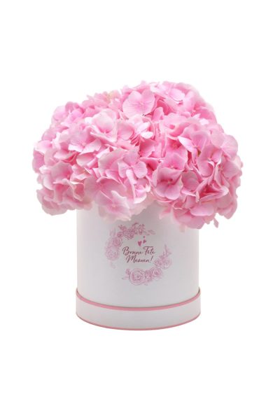 Boîte à Hortensia Rose