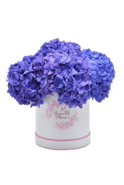 Boîte à Hortensia Bleu
