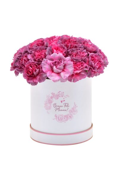 Boîte à Dianthus «Hypnose»
