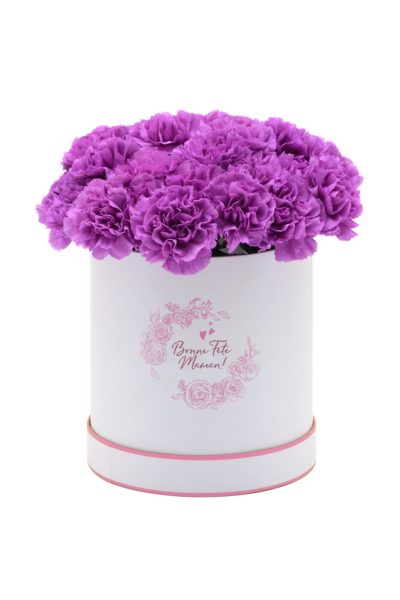 Boîte à Dianthus «Moonlight»