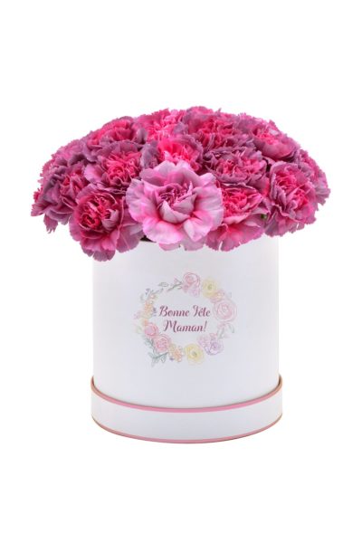Boîte à Dianthus «Hypnose»