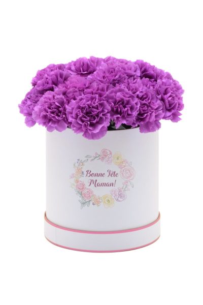 Boîte à Dianthus «Moonlight»