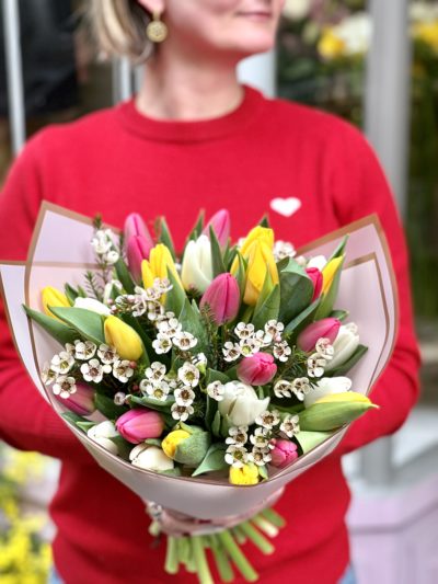 Tulipes multicolores